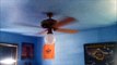 Video Tour of the Ceiling Fans in my Parents' House (FULL TOUR includes my fan workshop)