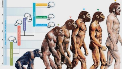 Let's Play Deus Ex: Lecture 41