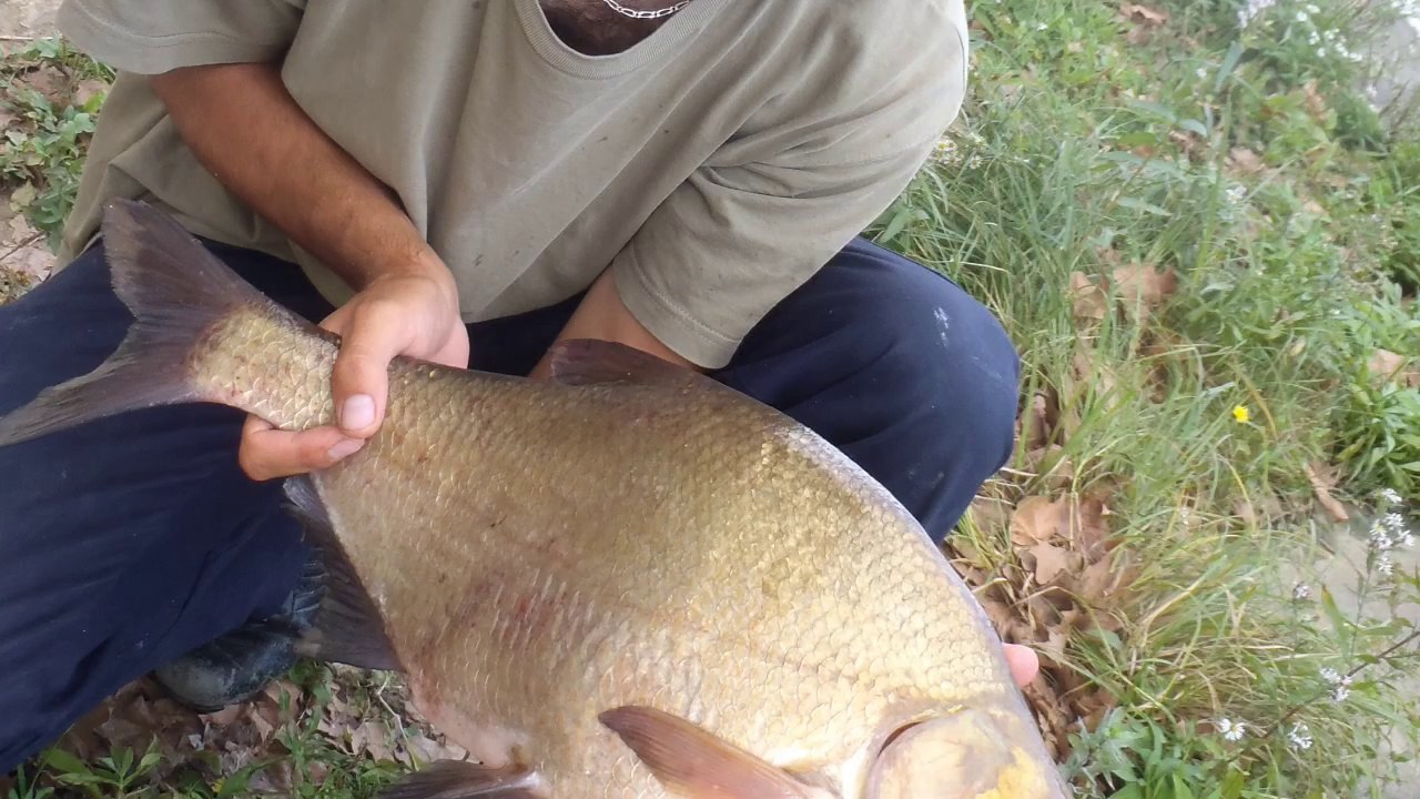 White Kupp 2014, le teaser