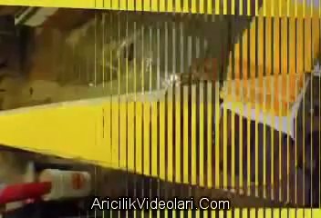 bal mumunun yapılışı