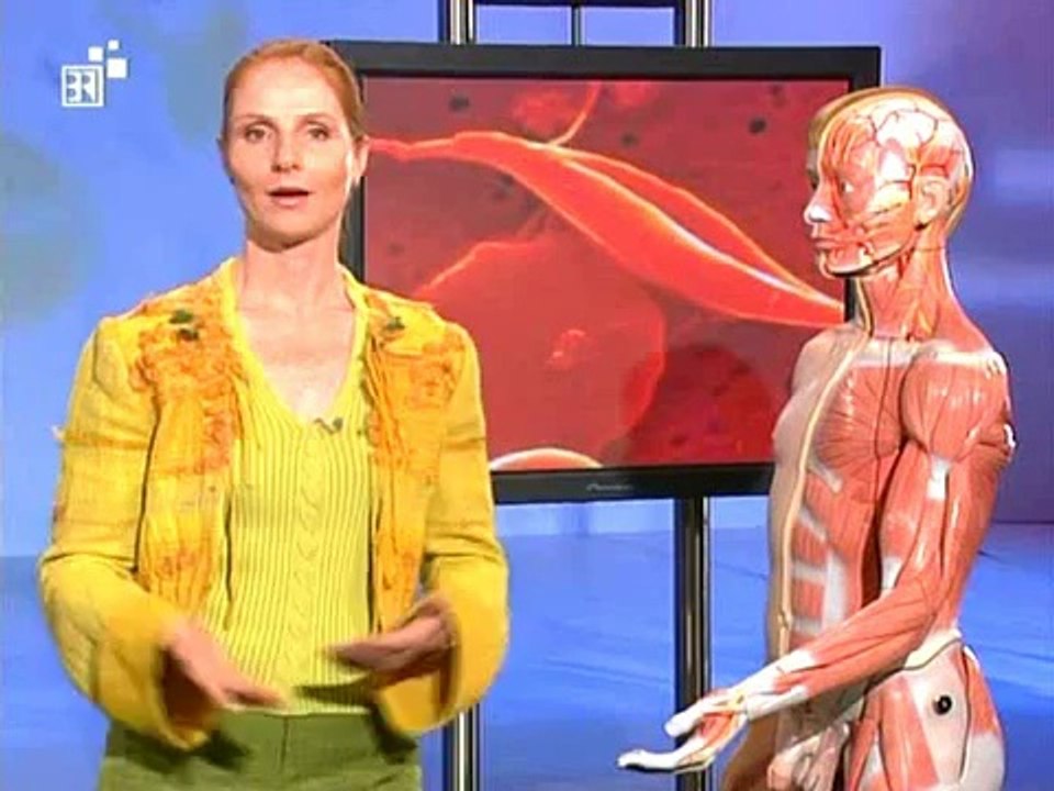 Biologie - 09. Humangenetik