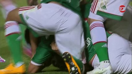 Palmeiras vence de virada o Grêmio e se afasta da degola
