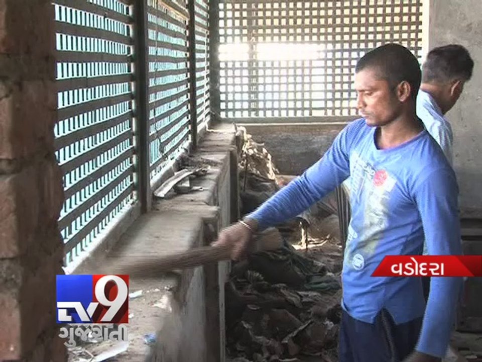 Tv9 IMPACT: VMC on 'Active Mode' in 'Birth-Death Certificate' negligence - Tv9 Gujarati