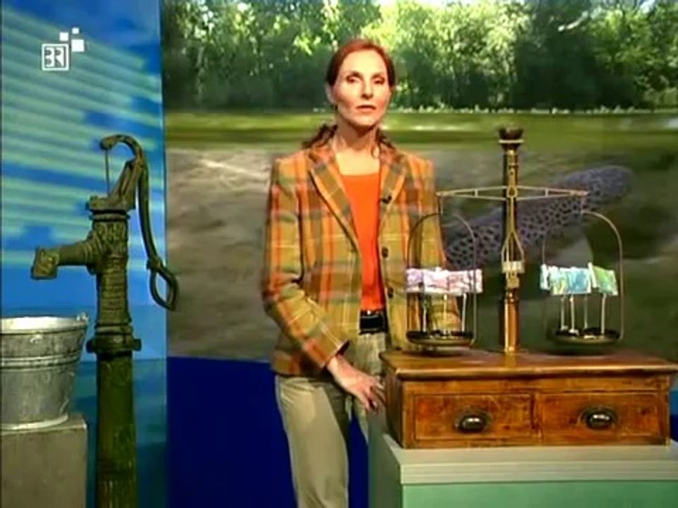 Biologie - 13. Ökosysteme im Wandel