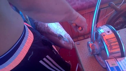 ALANYA JİG AVI 2014 SU SPORLARI ALPEREN