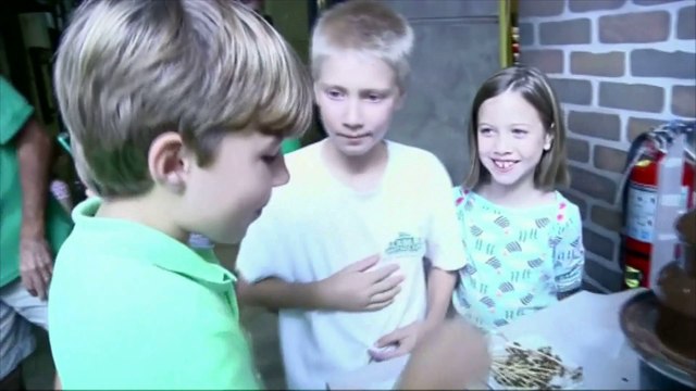 Des insectes au chocolat pour le goûter