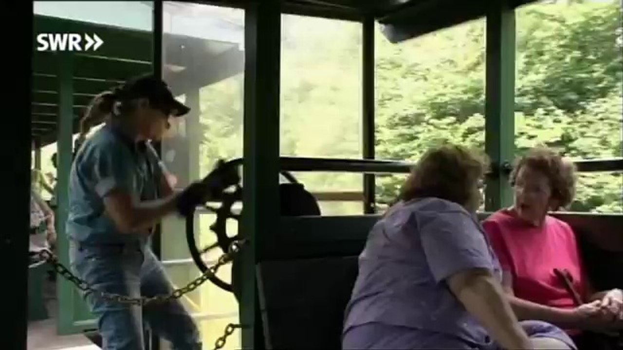 Eisenbahn Romantik - West Virginia - Cass Scenic Railroad - Waldbahndinos
