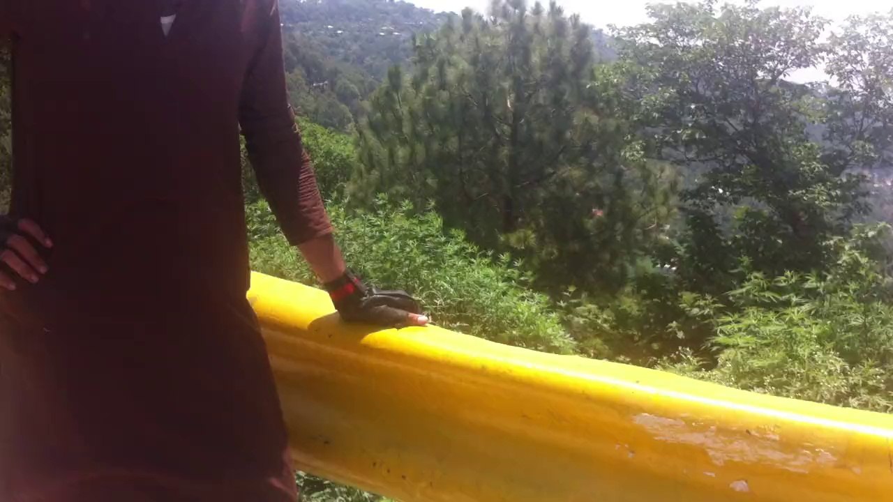 Murre video