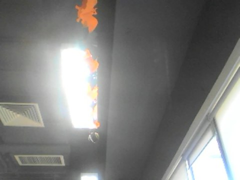 我的青春高八度2929