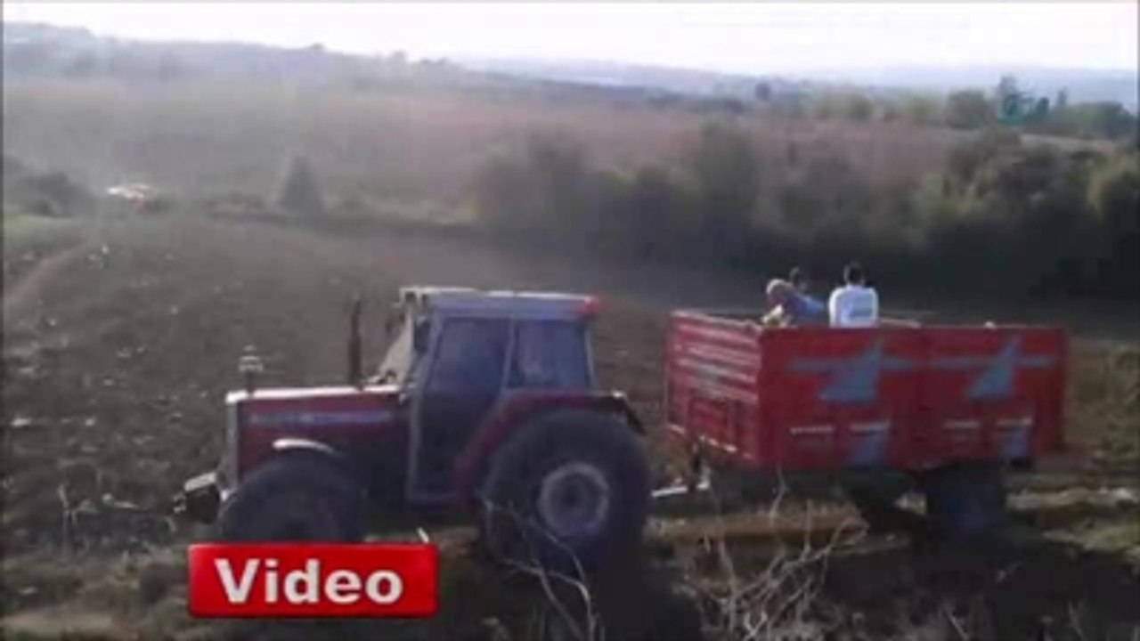 Ağacın Altında Kalan Yaşlı Adam Ağır Yaralandı