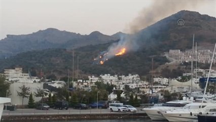 Bodrum'da Makilik Alanda Yangın