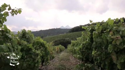Terres de France - Balade à Arles