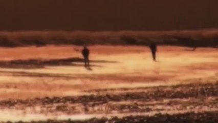 Personalmente (Las Pelotas) - San Viernes y la mal parida