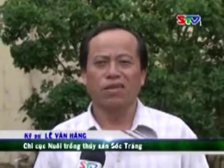 Cách hạn chế mầm bệnh trên tôm - nghenong.com