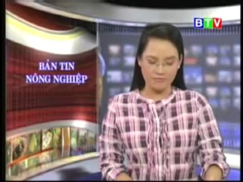 Cách phòng trừ dịch bệnh cho gà - nghenong.com