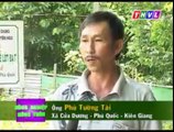 Cách trồng bưởi năm roi cho hiệu quả cao, nuôi cá trê phú quốc - nghenong.com