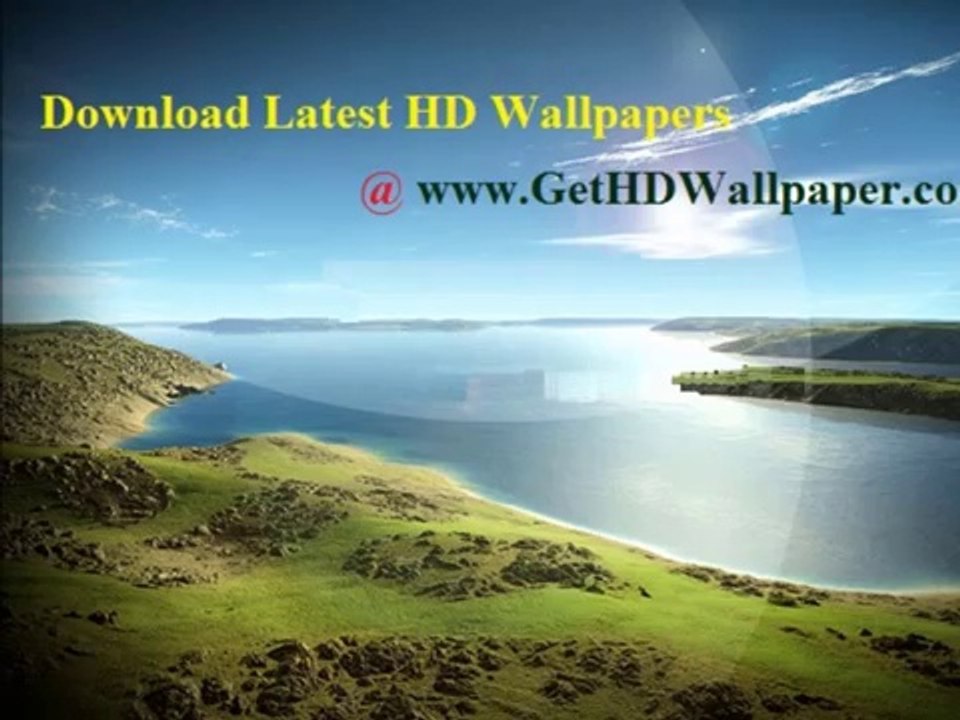 Best Animals And Birds HD Wallpapers