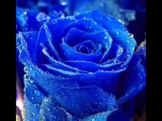 nunca te olvidaremos gustavo amor eterno......