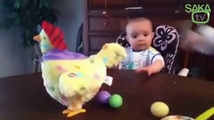 Tavuğun Yumurtlamasına Çok Şaşıran Bebek