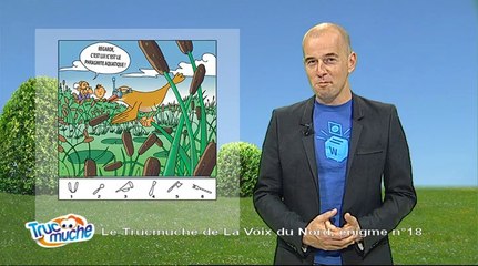 Le trucmuche du 13 octobre 2014