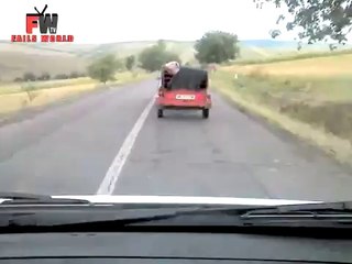 Dangerous Escape For This Pig - FAILS WORLD