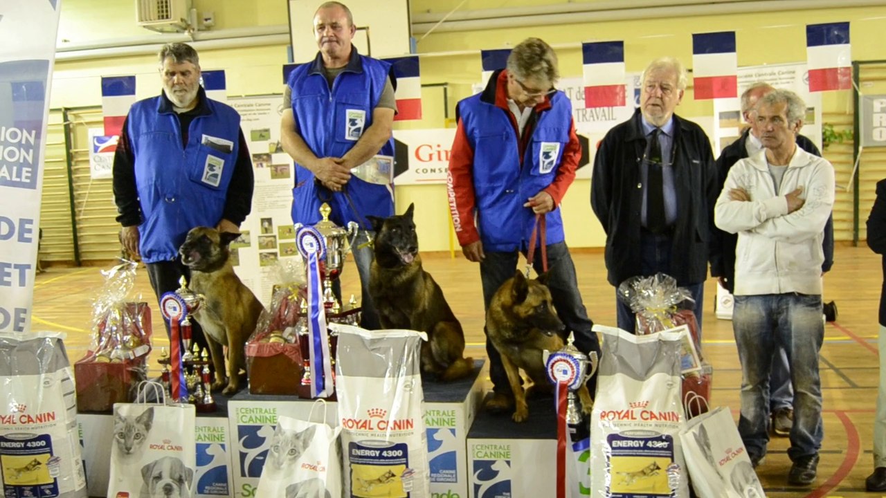 Championnat de France canin de travail pratique en campagne