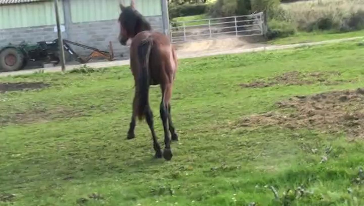 D DAY POLE LE NIL PAR RIKITA BELLA