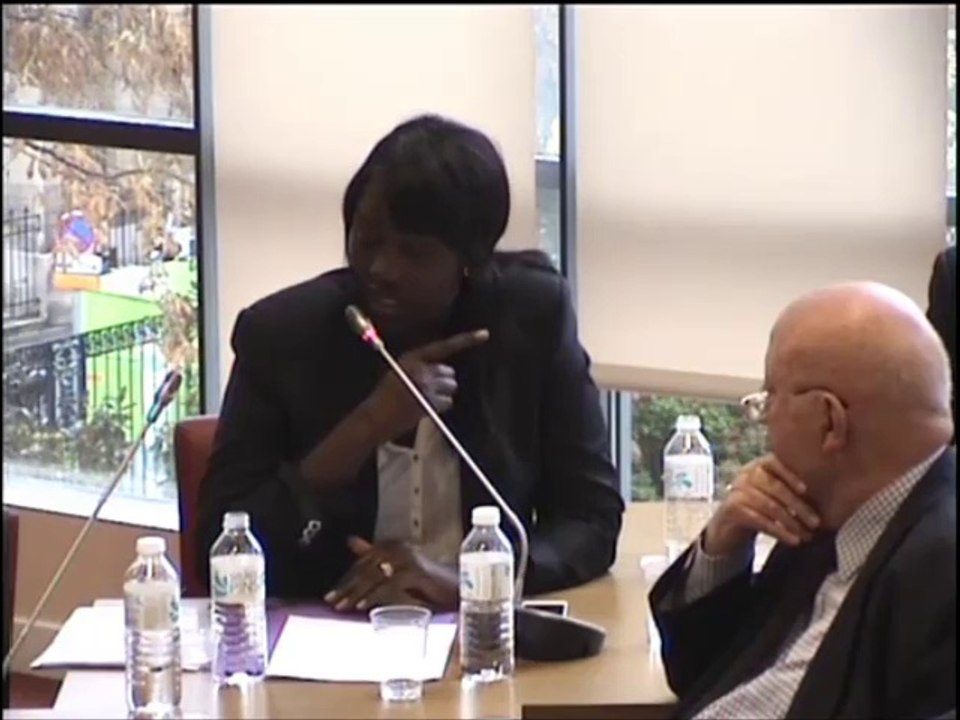 Seybah Dagoma - Audition de Mme Annick Girardin, secrétaire d'Etat au Développement et à la Francophonie - 8 octobre 2014