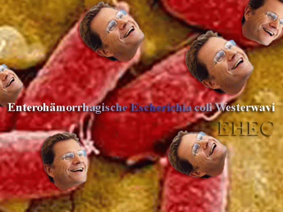 Ehec ... ursprung des erregers eindeutig festgestellt!