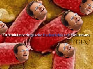 EHEC ... Ursprung des Erregers eindeutig festgestellt!