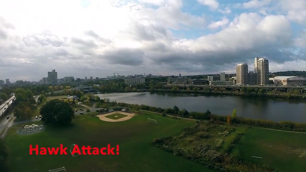 Attaque de drone par un faucon