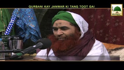 Madani Muzakray Ki Madani Mahak - 4 Afrad Qurbani Kar Saktay Hain - Maulana Ilyas Qadri