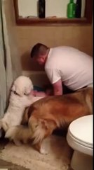 Papa chante pour son bébé au moment du bain : adorable!