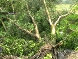 По Индии ударил циклон «Худхуд», есть жертвы