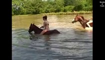 A GIRL and THE HORSE Compilation 2014 - hermosa chica y caballos - مراءة مع حصان