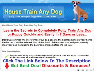 Potty Train Dogs Real Review  Discount + Bouns