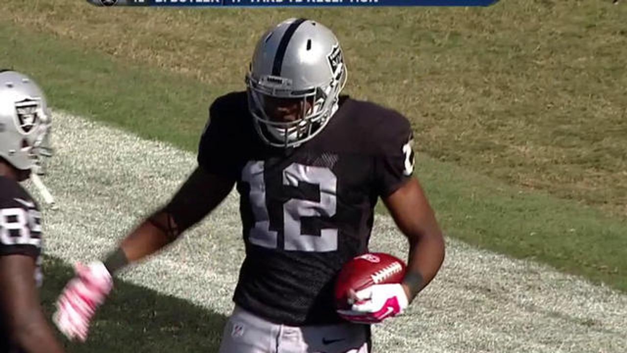 Brice Butler 47-yard touchdown catch