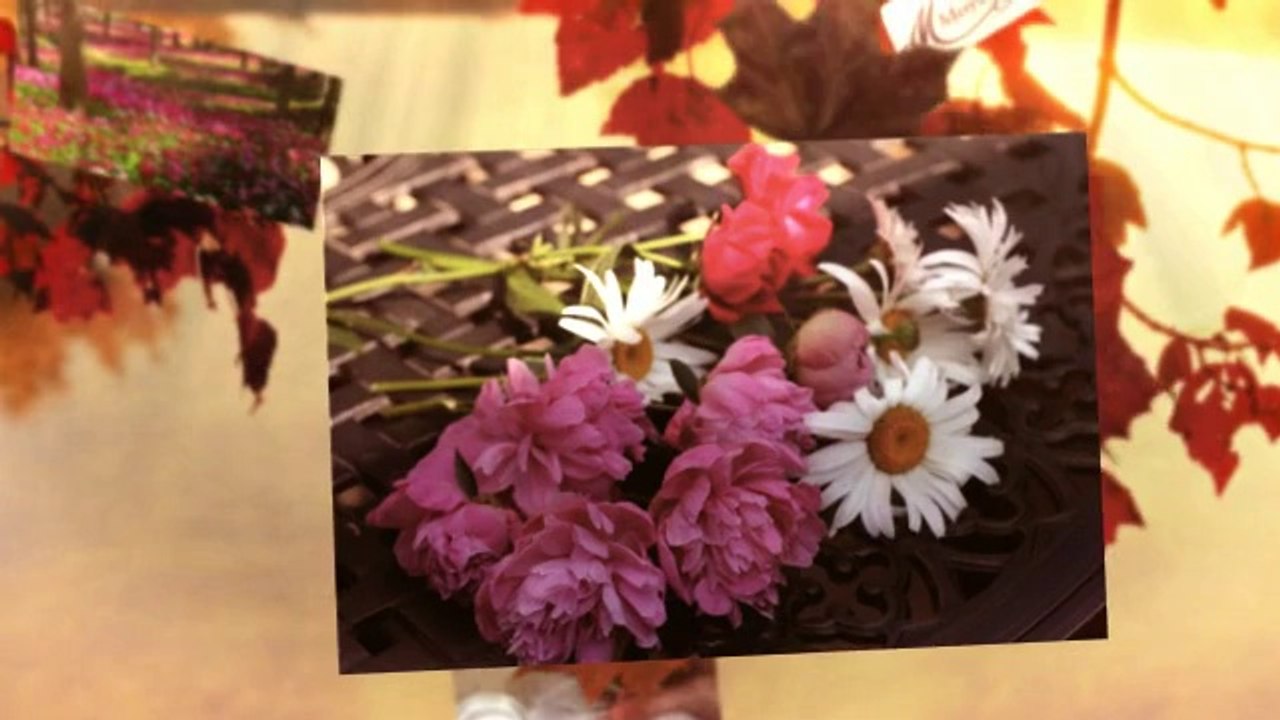 Ideas For Keep Flowers Fresh