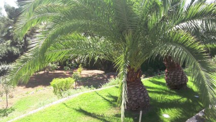 GRASSE - VILLA Provençale A VENDRE - Vue Mer - Piscine - Dépendances