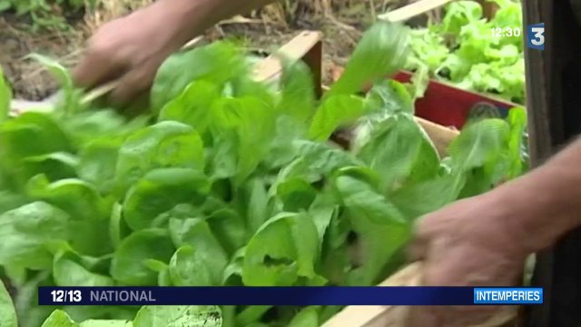 Les intempéries ont causé de nombreux dégâts dans les Alpes-Maritimes