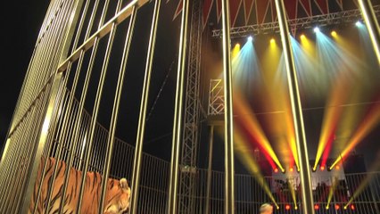 Les coulisses du festival international du cirque de Corse