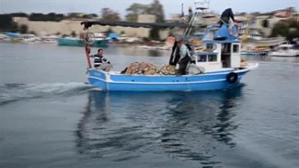 Palamut Bereketi Tekneleri Doldurdu