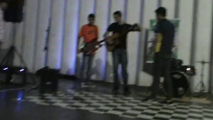 Nova Maré - Superação 2014