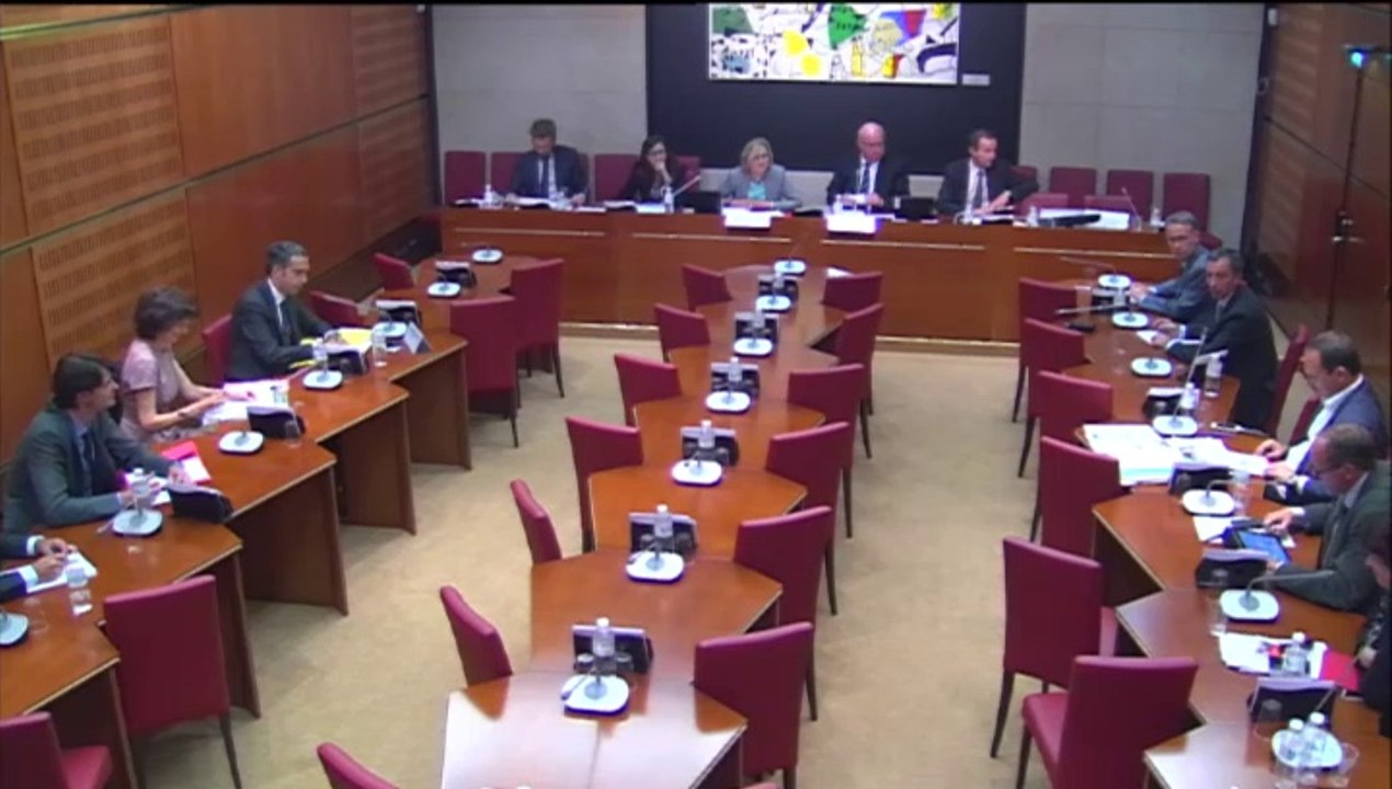 Commission d'enquête vie associative - audition direction de la jeunesse et de l'éducation populaire