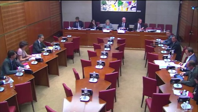 Commission d'enquête vie associative - audition direction de la jeunesse et de l'éducation populaire