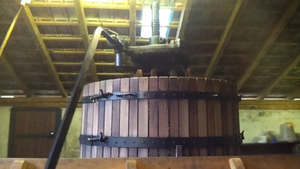 Vendanges 2014 au pressoir