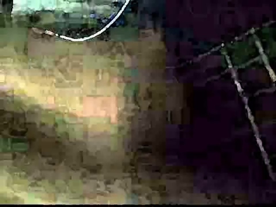 Boom Boom (cover song) by Billy J Bryan & The Ax Grinders / video by Robert Segarra