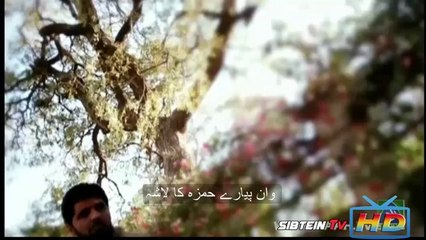 Watch Main Apne Nabi ke kochay-Noman Shah Bukhari Naat