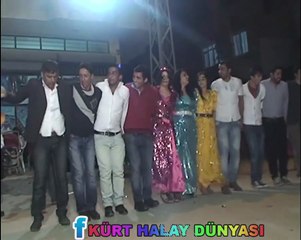 CİDA HALAYI  Bİ BAŞKADIR BE KARDEŞİM