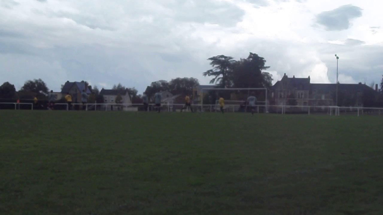 ASLB1-LION d ANGERS1